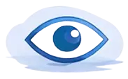 visual impairment